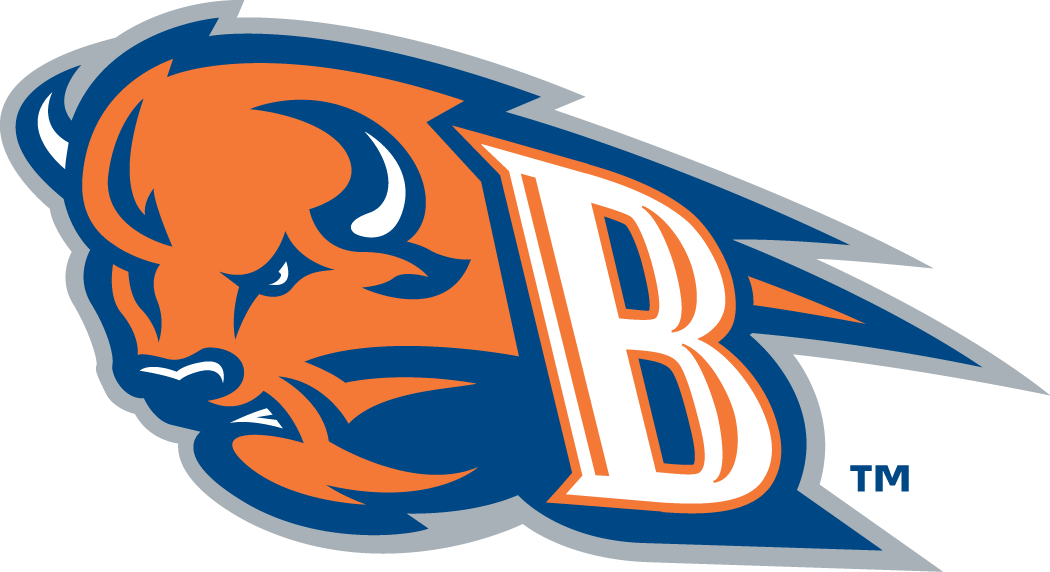 Bucknell Bison 2002-Pres Alternate Logo iron on transfers for T-shirts